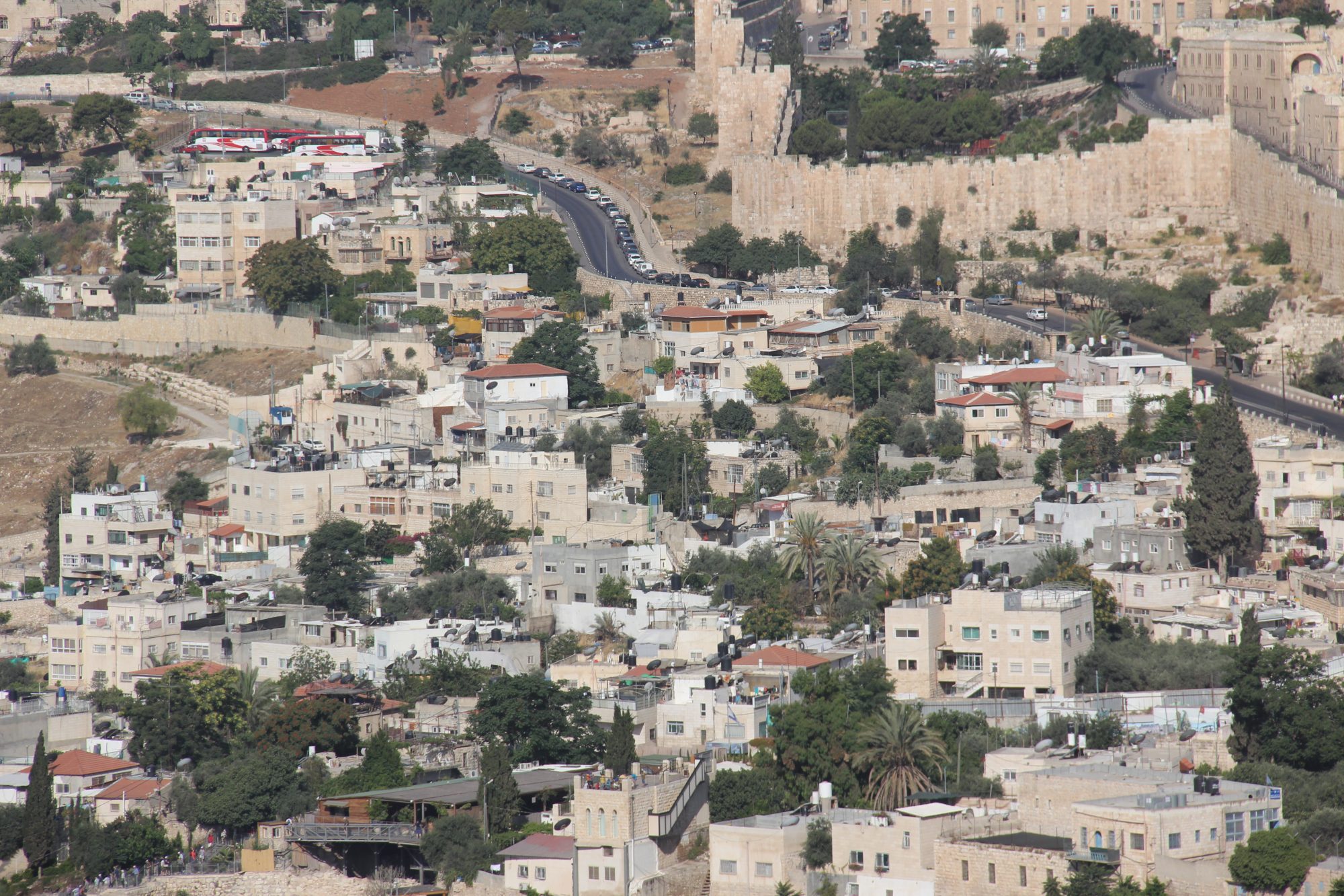 Mount of Olives 8